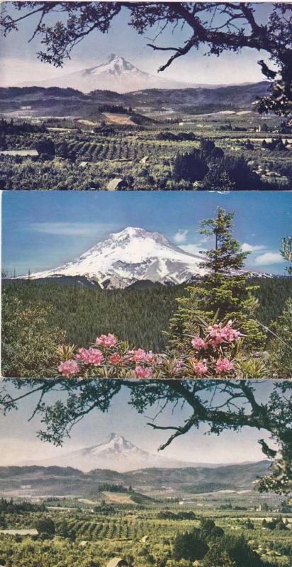 (3 cards) Views of Mt Hood and Hood River Valley OR, Oregon