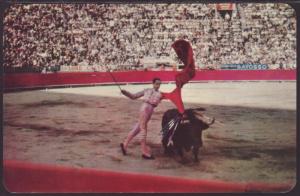 Bullfight Postcard