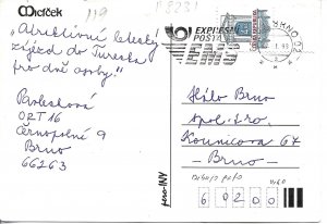 Cat. Micicek Modern Czech artist drawn postcard