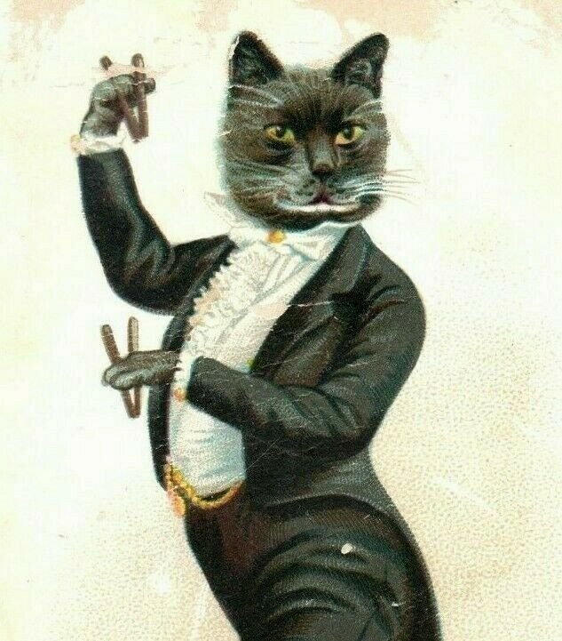 1880s Christmas Anthropomorphic Cat Dancing Castanets Fab P229