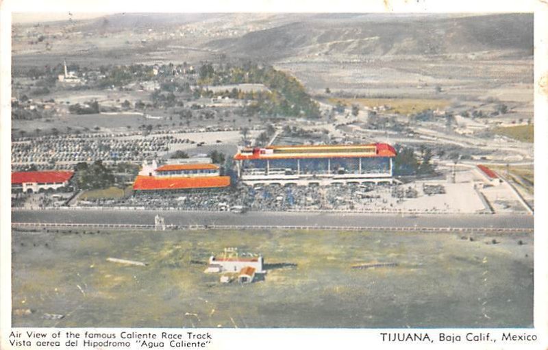 Caliente Race Track Tijuana Mexico Tarjeta Postal 1955 