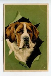 422951 ST. BERNARD Dog Portrait MAILICK Vintage LITHO postcard