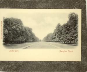 UK BUSHEY PARK SURREY UDB c1902 HAMPTON COURT Postcard
