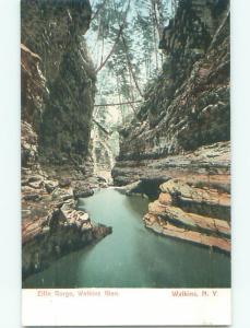 Unused Pre-1907 ELFIN GORGE IN WATKINS GLEN Finger Lakes New York NY n5582