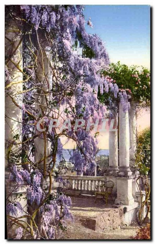 Old Postcard Sanremo Italy Italia Flora della Riviera