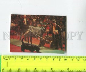 474445 1982 circus Clown Pencil Rumyantsev Pony Scotch Terrier Pocket CALENDAR