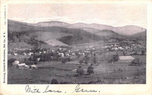 Bird's Eye View Roxbury, New York  