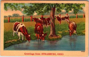 Postcard FARM SCENE Strasburg Ohio OH AO7180