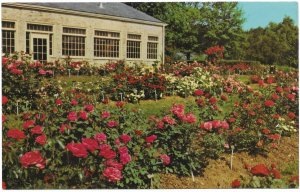 US unused. Kingwood Center, Rose Garden.  Mansfield, Ohio.  Nice.