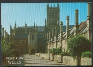 Somerset Postcard - Vicar's Close and Cathedral, Wells   T4090