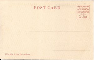 East Derry NH, Beaver Lake, Steamer Agusta, Pavilion, Pleasure Boat, pre-1907