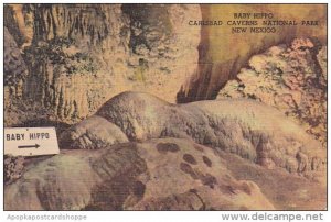 New Mexico Carlsbad Baby Hippo Carlsbad Caverns National Park