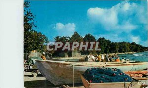 Postcard Modern Guadeloupe Fishing Port in St Louis