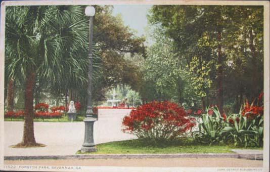 Savannah GA Forsyth Park c1910 Postcard