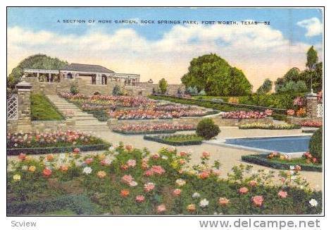A section of rose garden, Rock Springs Park, Fort Worth, Texas, 30-40s