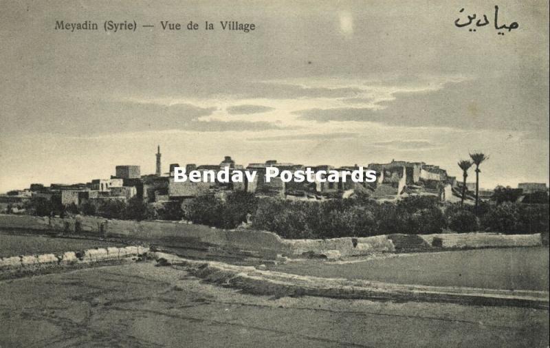 syria, MEYADIN, View of the Village (1920s) Wattar 321