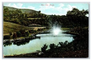 Joseph Smith Birthplace Lily Pond Sharon Vermont VT UNP DB Postcard V12