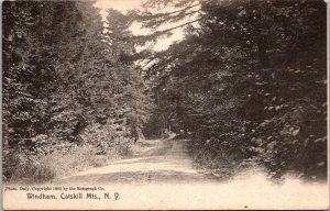 Windham, Catskill Mountains NY c1909 Vintage Postcard V64