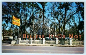 ST. AUGUSTINE, FL ~ Castle Warden RIPLEY BELIEVE IT or NOT 1950s Cars  Postcard