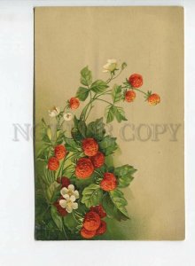 438370 Strawberry Style KLEIN Vintage postcard GOM #2065