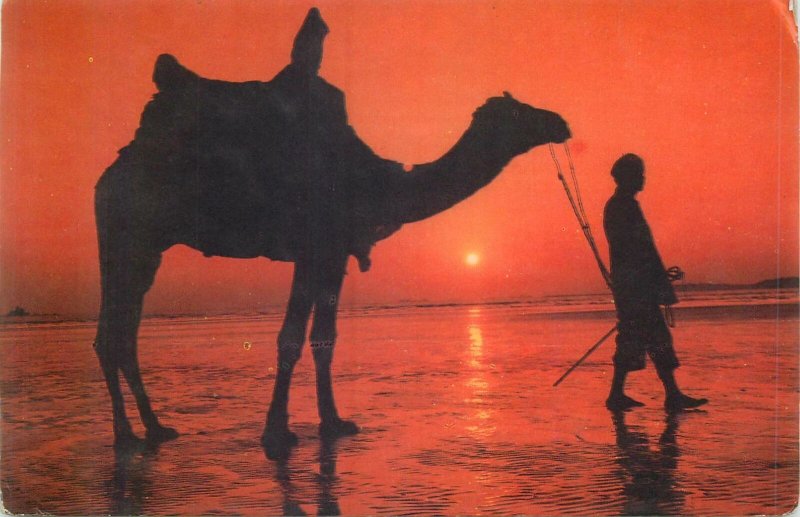 Postcard Pakistan Karachi seaside sunset scenery man with camel