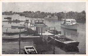 Cedar Key Florida Fishing Boats Vintage Postcard AA21356