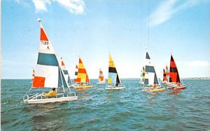 Aqua Cat Races Sail Boat - Cape Cod, Massachusetts MA  