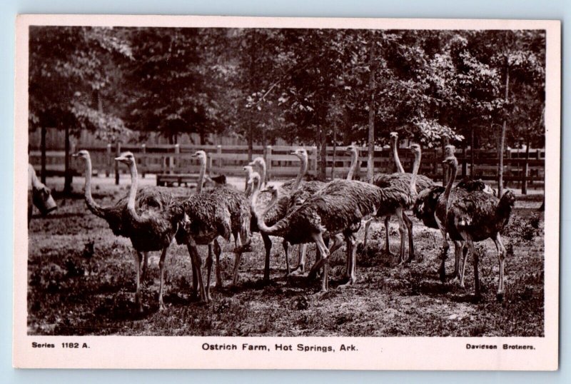 Hot Spring Arkansas AR Postcard RPPC Photo Ostrich Farm Davidson Brothers c1910s