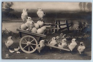 c1910's Postcard RPPC Photo Stuffed Animal Toy Chicks Birds Still Life Antique