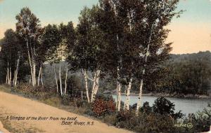 bear river from the road Nova Scotia canada L4507 antique postcard