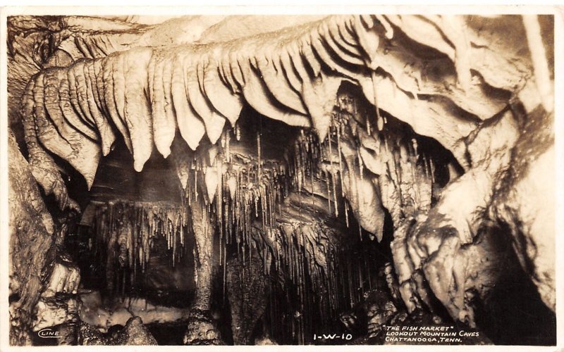 J68/ Chattanooga Tennessee Postcard RPPC c40-50s Cline Fish Market Cave 286