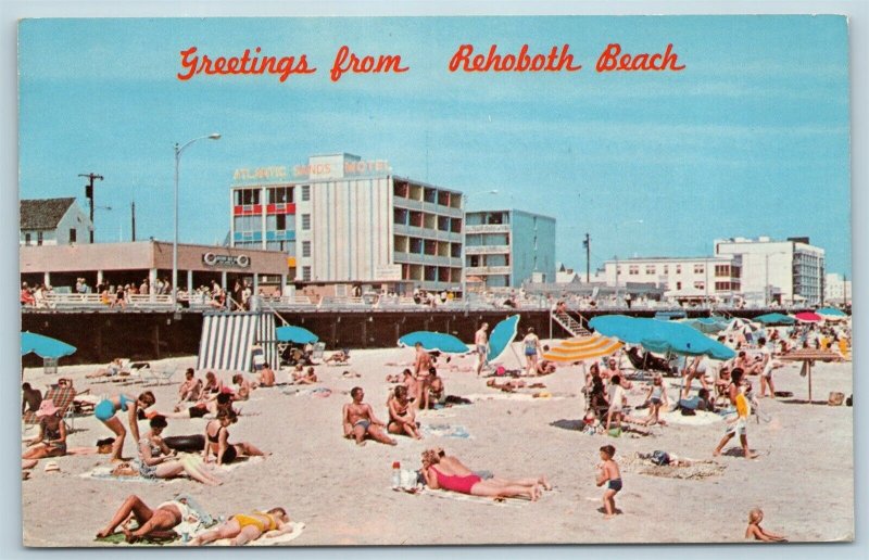 Postcard DE Rehoboth Beach View Atlantic Sands Motel Boardwalk Beach Vintage T10