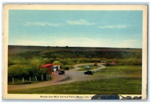 c1940's Moose Jaw Wild Animal Park Moose Jaw Saskchetwan Canada Posted Postcard