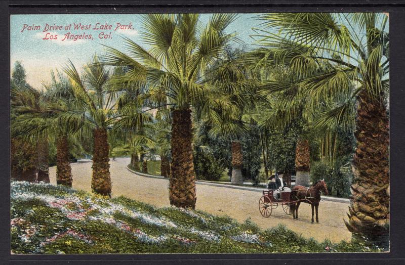 Palm Drive at West Lake Park,Los Angeles,CA