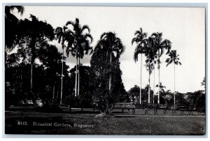 Singapore Postcard Botanical Gardens Park View c1910 Antique RPPC Photo