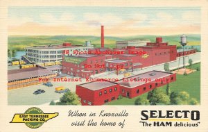 Advertising Linen Postcard, East Tennesee Packing Co, Selecto Ham, Knoxville