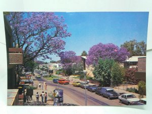 Todd Street Mall Alice Springs Australia Vintage Postcard Kingston Summerhayes