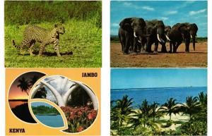 KENYA 96 AFRIQUE AFRICA Postcards CPM Mostly 1950-1990 (L3287)