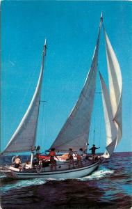 Sail Boat, Colourpicture No. P8615