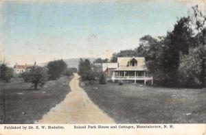 Mountainview New Hampshire Roland Park House Cottages Antique Postcard K85413