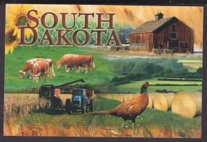 Greetings from South Dakota - MultiView - Cont'l