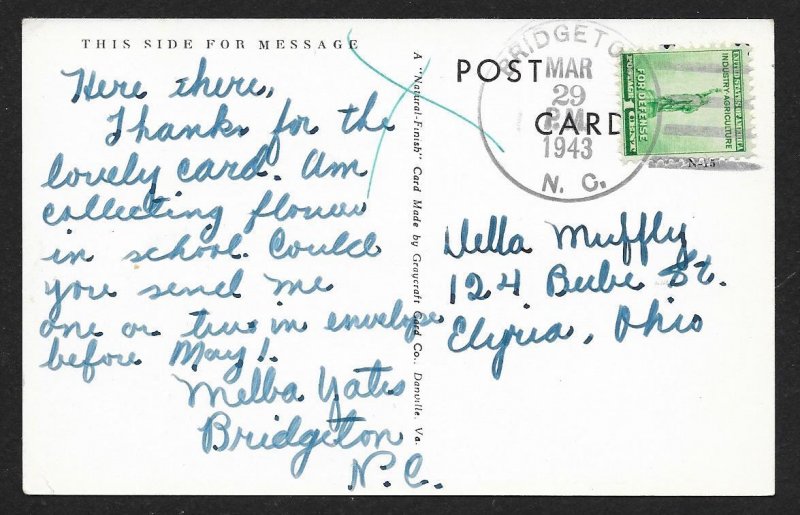 Post Office & Courthouse New Bern NC Used c1943