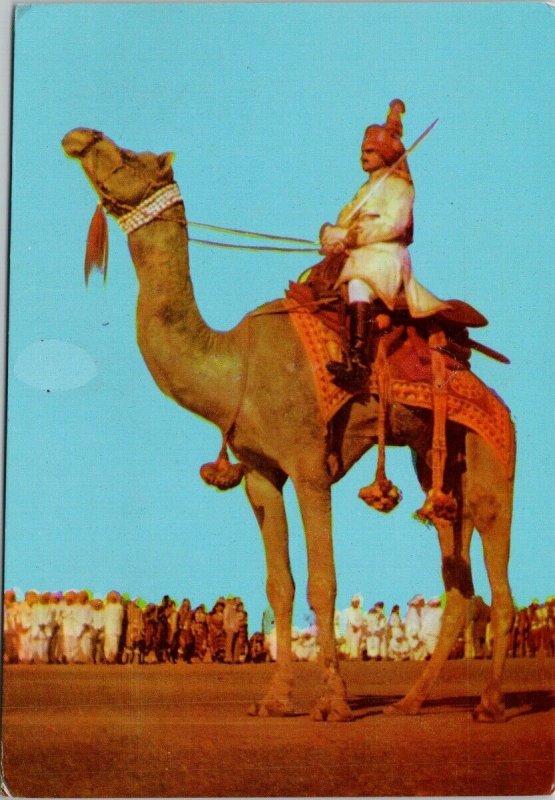 India Camel Ride Man with Sword Postcard C7 *as is
