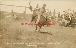 Rodeo, Dalhart Texas Round Up, RPPC, Rube Roberts Riding Wild Steer,Doubleday 