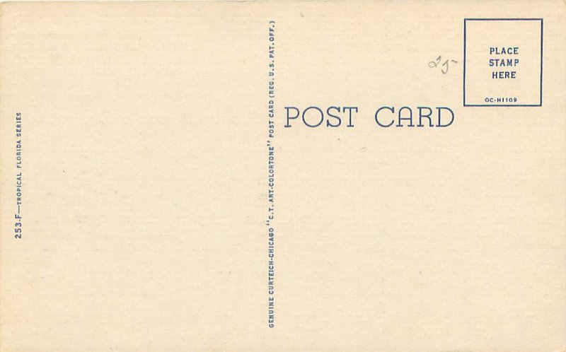 Legend of the Spanish Moss Linen Postcard Unused Curteich
