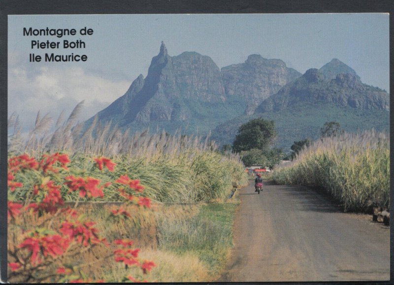 Mauritius Postcard - Montagne De Pieter Both    T7045