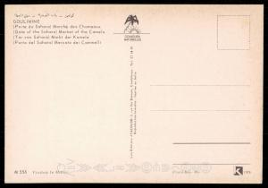 Goulimine - Gate of the Sahara - Market of the Camels