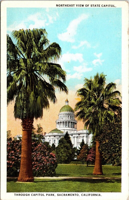 NE View State Capitol PalmsSacramento California CA VTG Postcard UNP Unused 