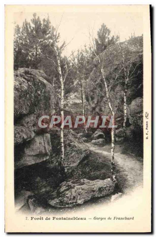 CPA Foret De Fontainebleau Gorges de Franchard