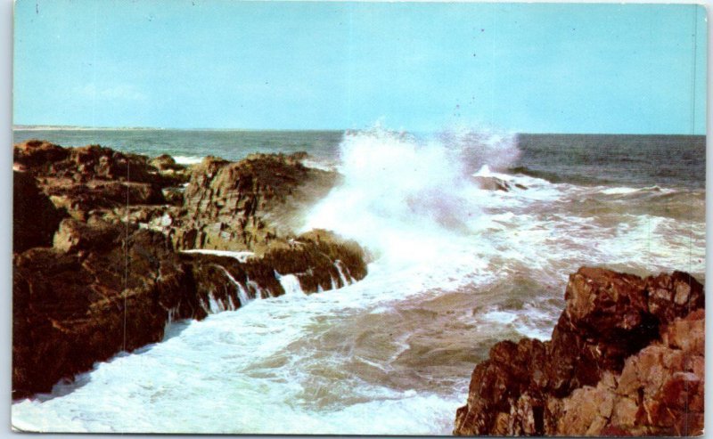 M-80232 Exploding Surf as Seen from The Marginal Way Ogunquit Maine USA